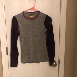 Icebreaker merino top